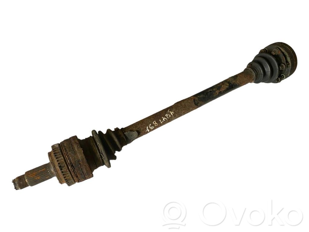 Aizmugurējā pusass