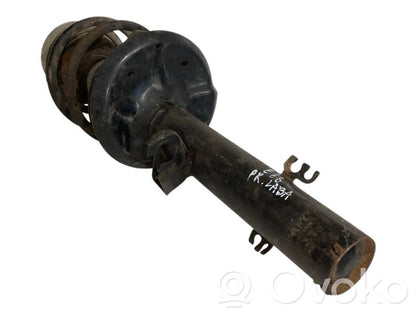 Front shock absorber with spring