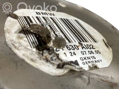 Aizmugurējā pusass