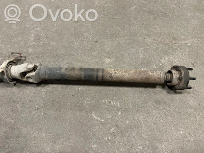 Aizmugurējais kardāns