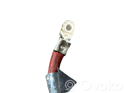 Plusa vads (akumulatora)