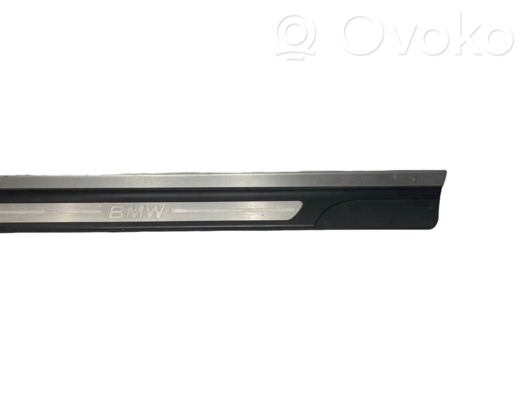 Front sill trim (inner)