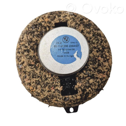 Speaker(s) in front door