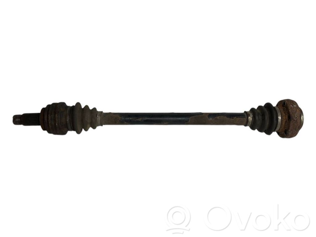 Aizmugurējā pusass