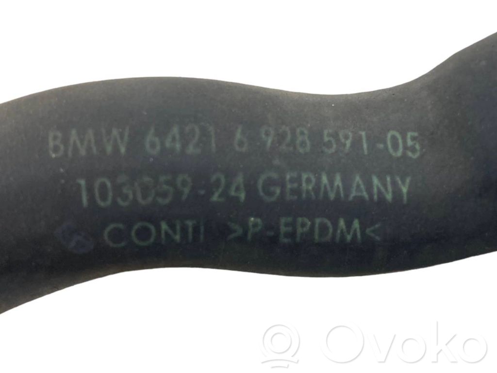 Caurulīte (-es) / šļūtene (-es)