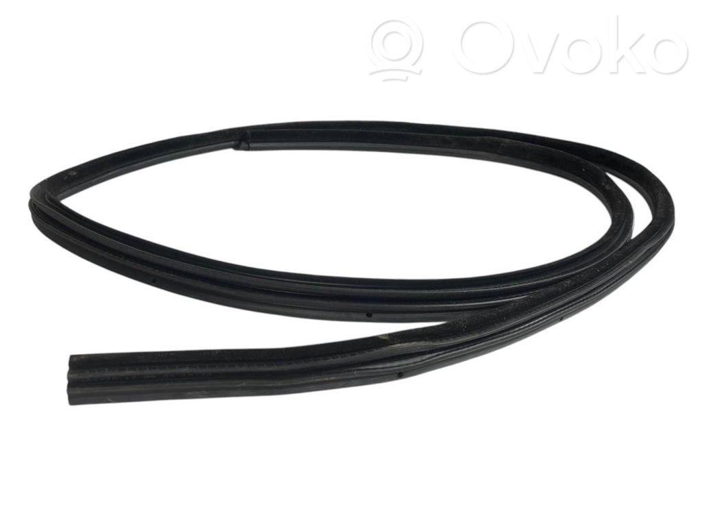 Aizmugurē apdares gumija (virsbūvē)