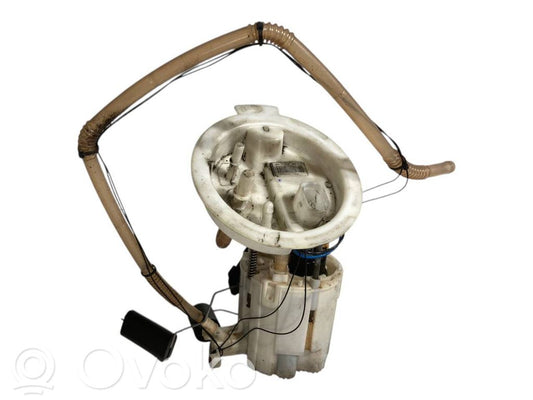 Fuel pump (in the fuel tank)
