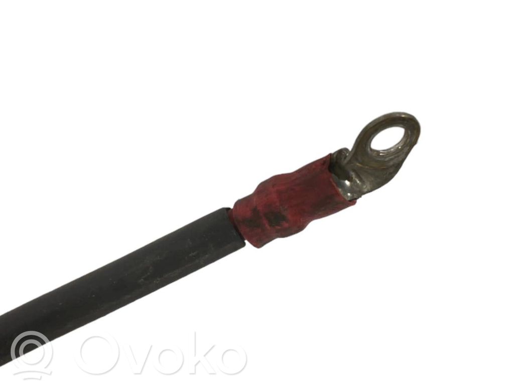 Plusa vads (akumulatora)