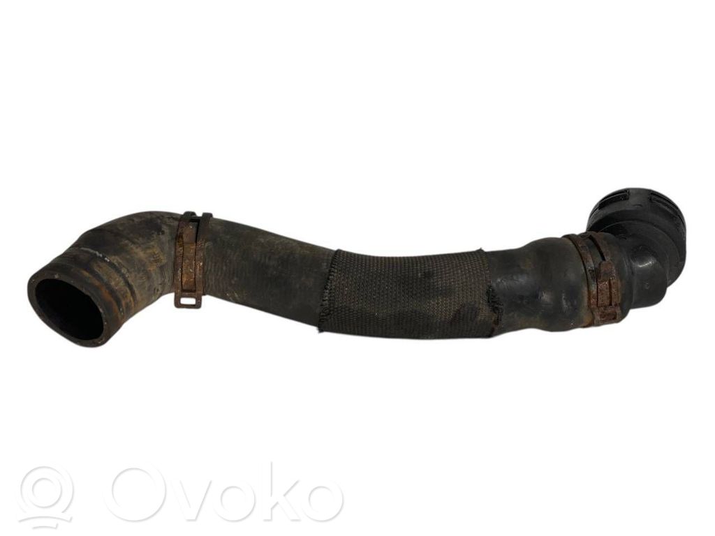 Caurulīte (-es) / šļūtene (-es)