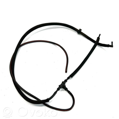 Caurulīte (-es) / šļūtene (-es)