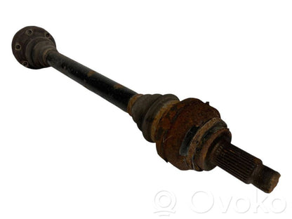 Aizmugurējā pusass