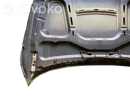 Dzinēja pārsegs (vāks)