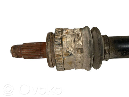 Aizmugurējā pusass