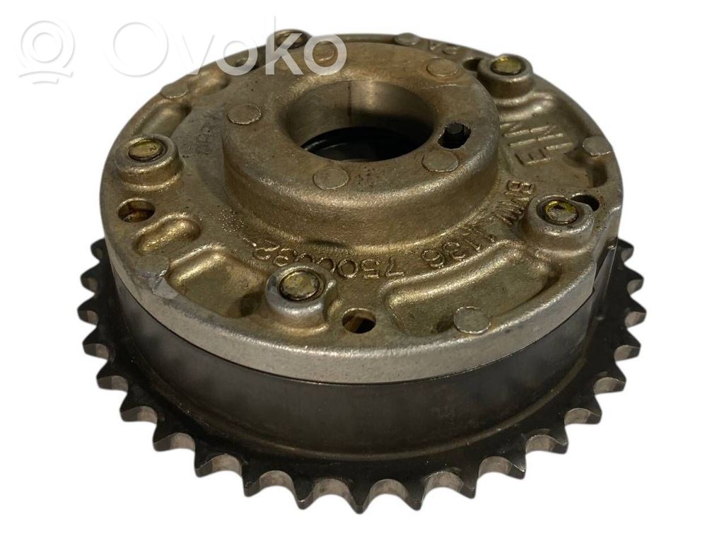 Sadales vārpstas skriemelis / "Vanos"