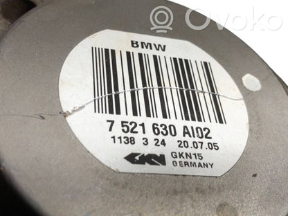 Aizmugurējā pusass