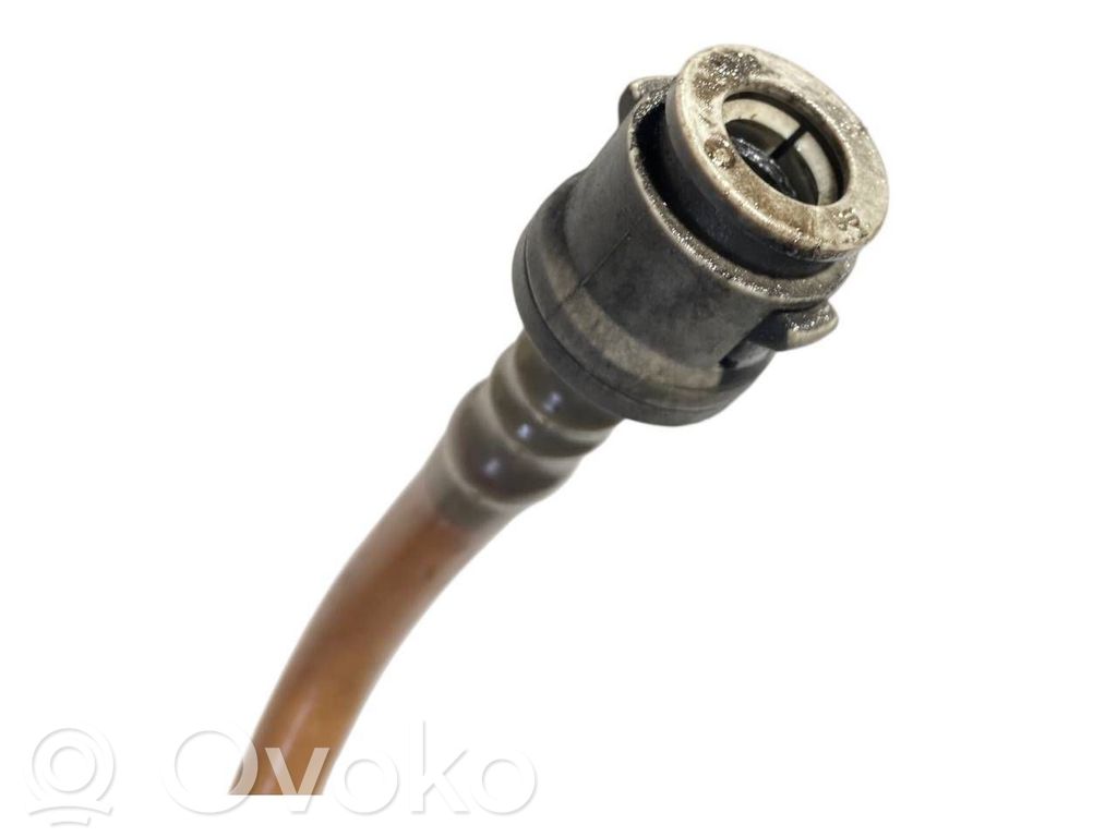 Caurule (-es) / šļūtene (-es)