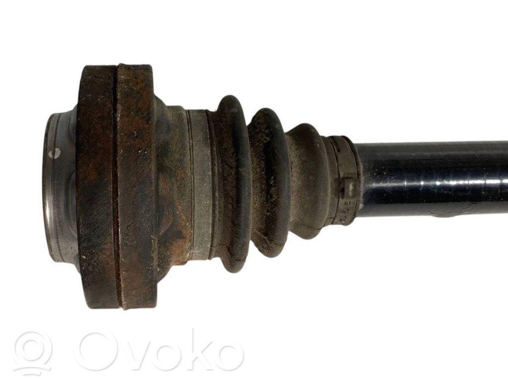 Aizmugurējā pusass