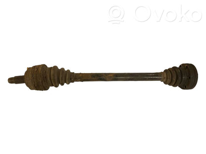 Aizmugurējā pusass