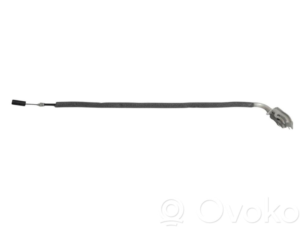 Trosīte