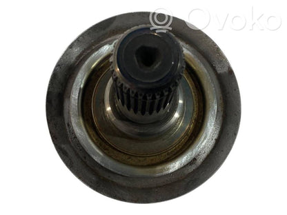 Aizmugurējā pusass