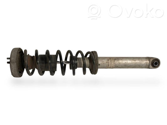 Rear shock absorber with spring