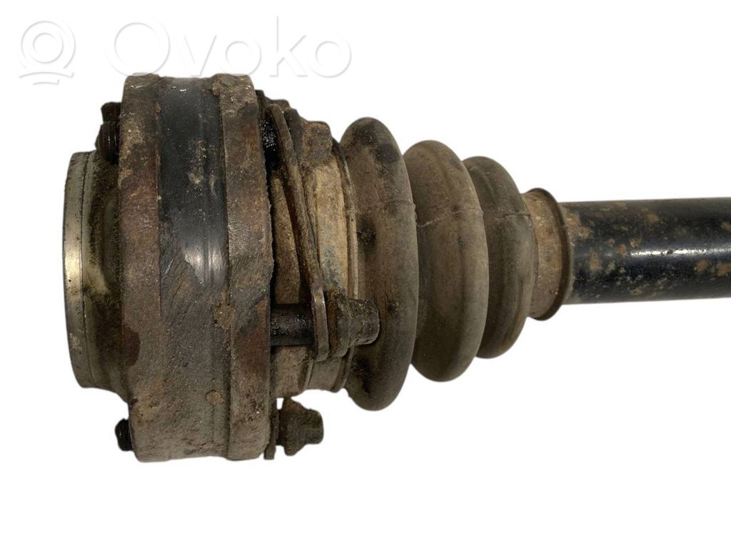 Aizmugurējā pusass