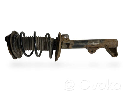 Front shock absorber with spring