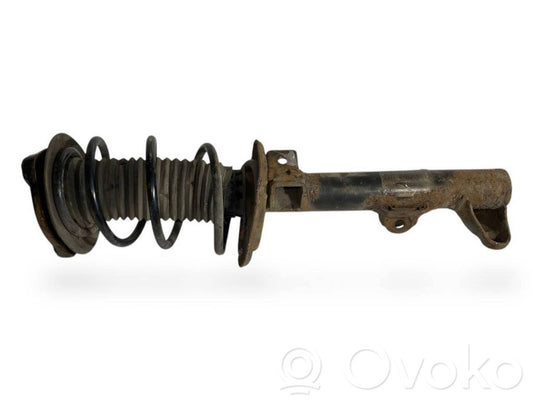 Front shock absorber with spring