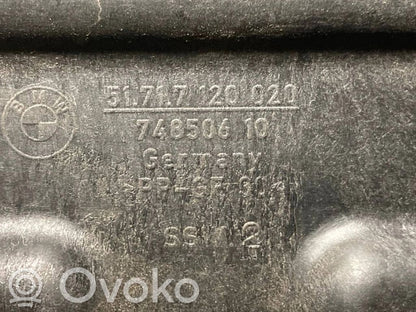 Trunk storage compartment