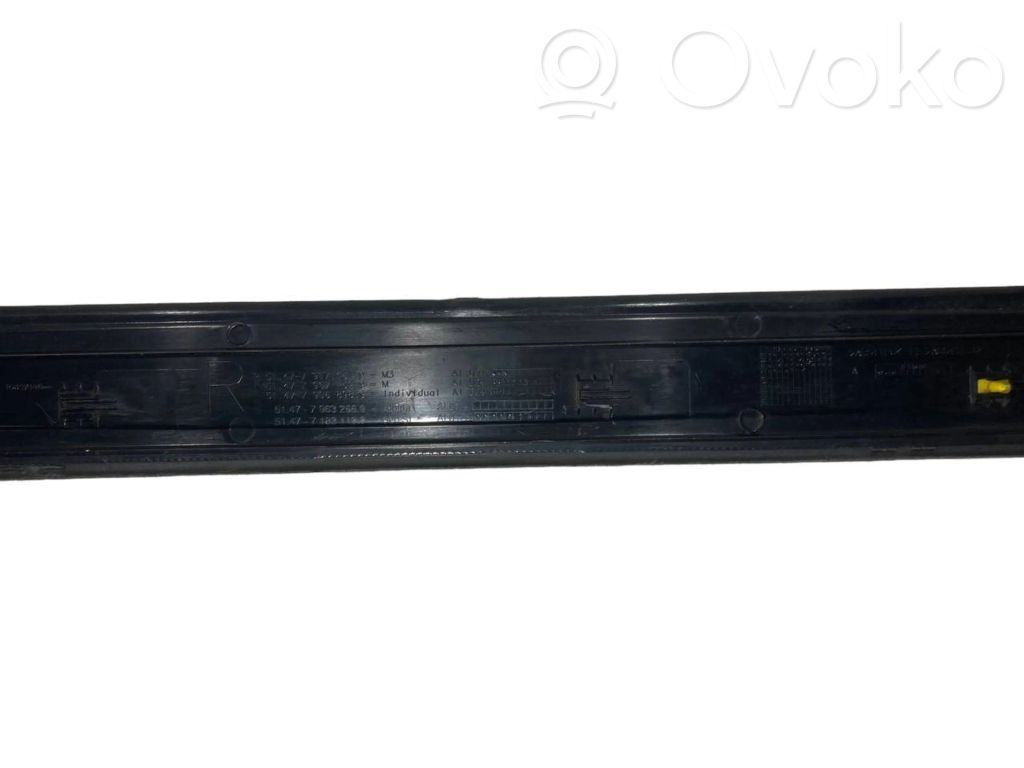 Front sill trim (inner)