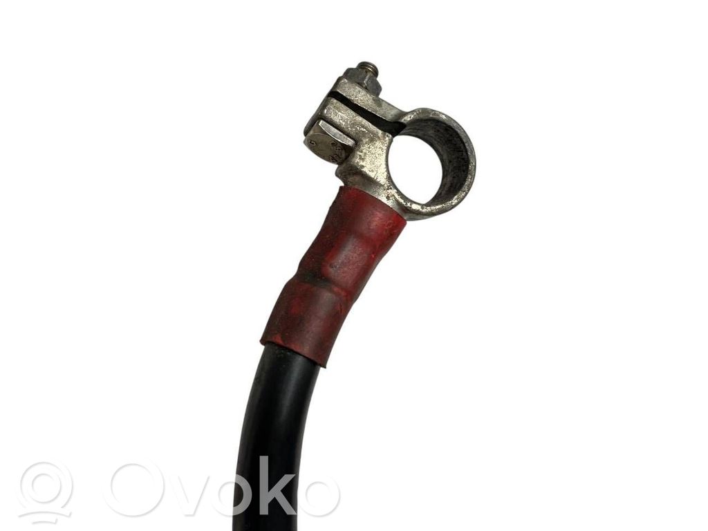 Plusa vads (akumulatora)