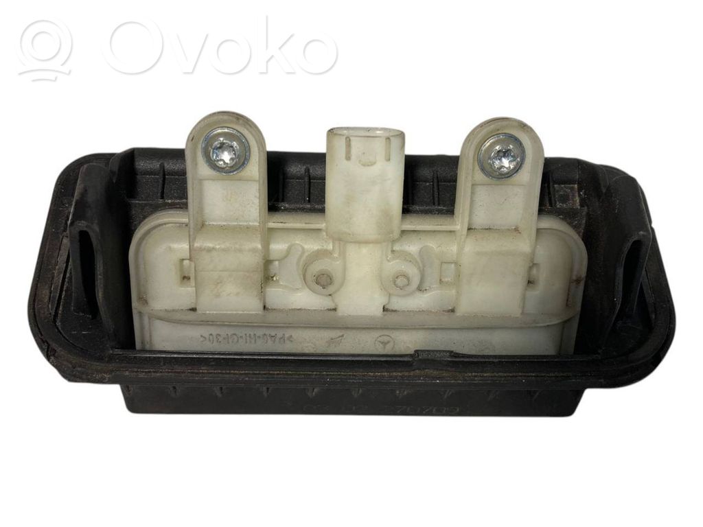 Bagāžnieka rokturis