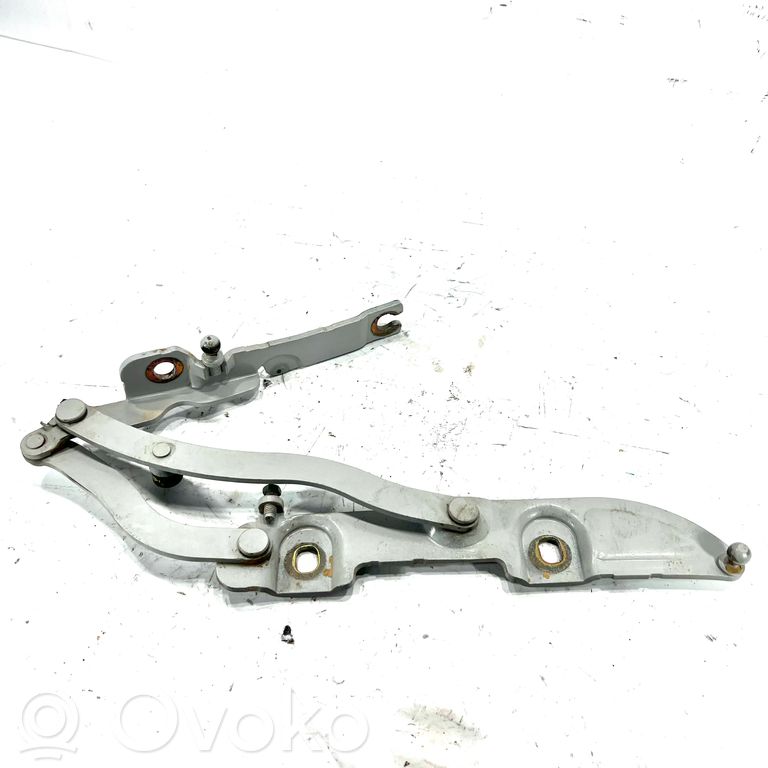 Aizmugurējā pārsega eņģe (-ess)