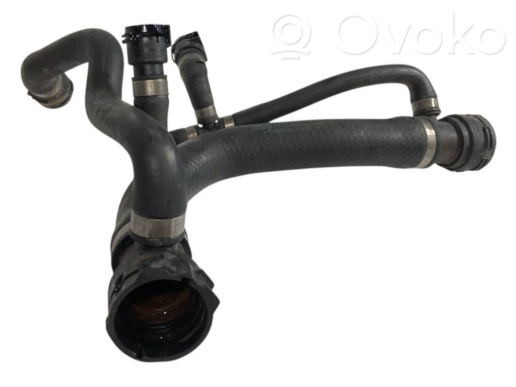 Caurulīte (-es) / šļūtene (-es)