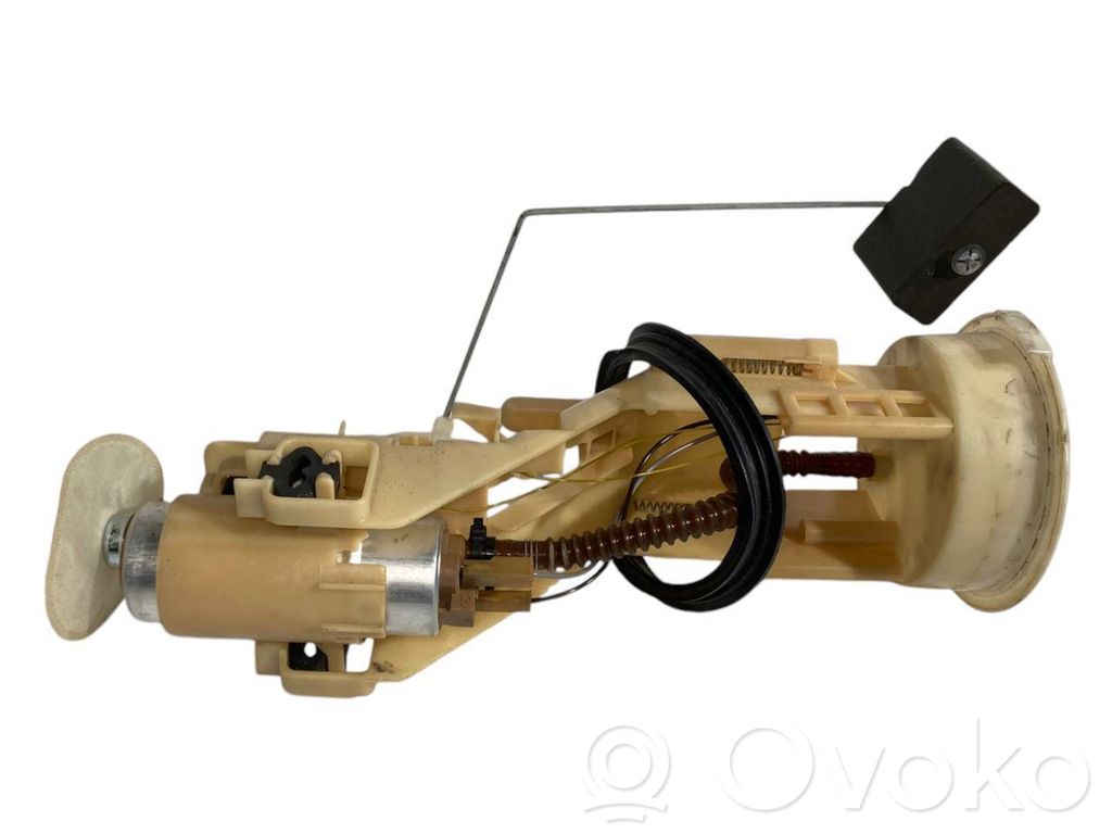 Fuel pump (in the fuel tank)