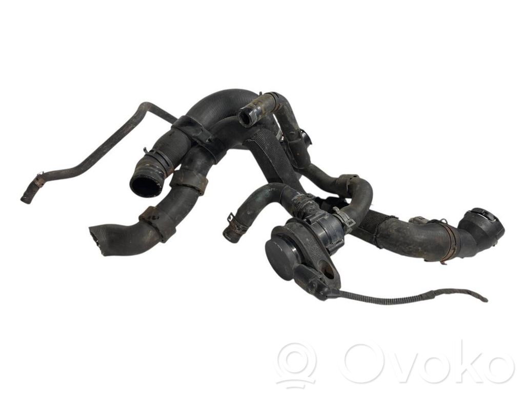 Caurulīte (-es) / šļūtene (-es)