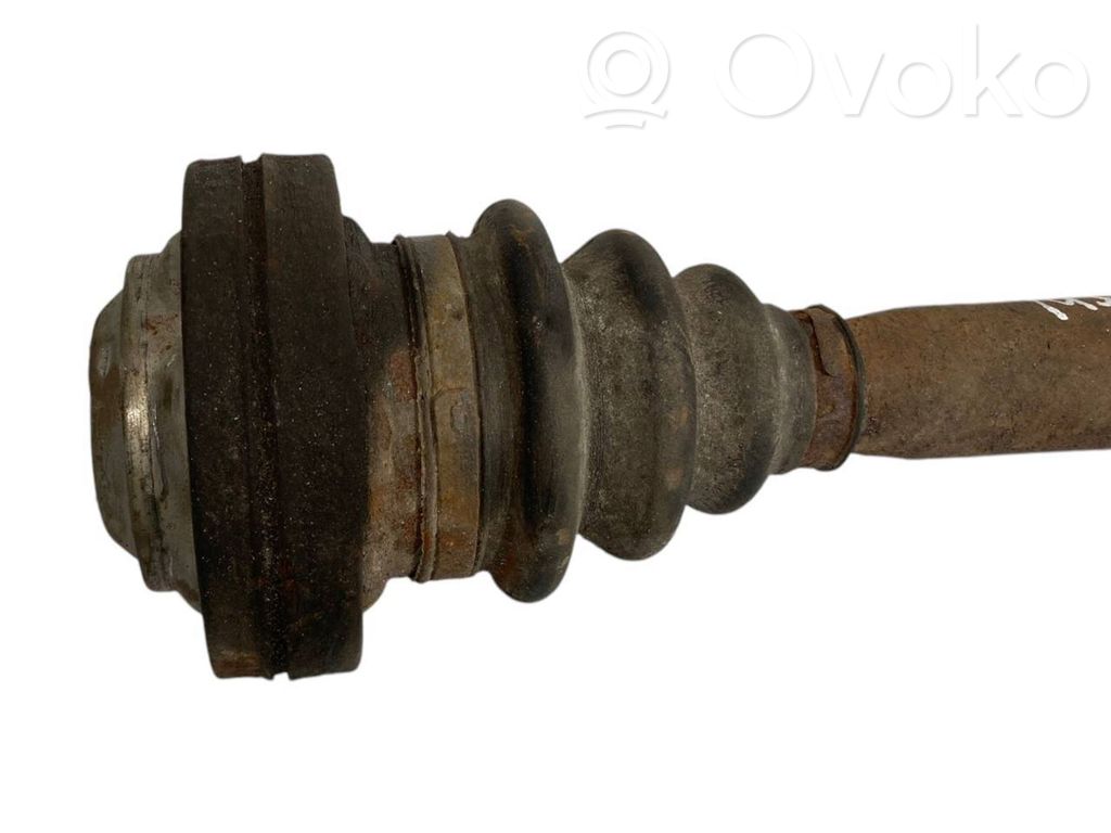 Aizmugurējā pusass