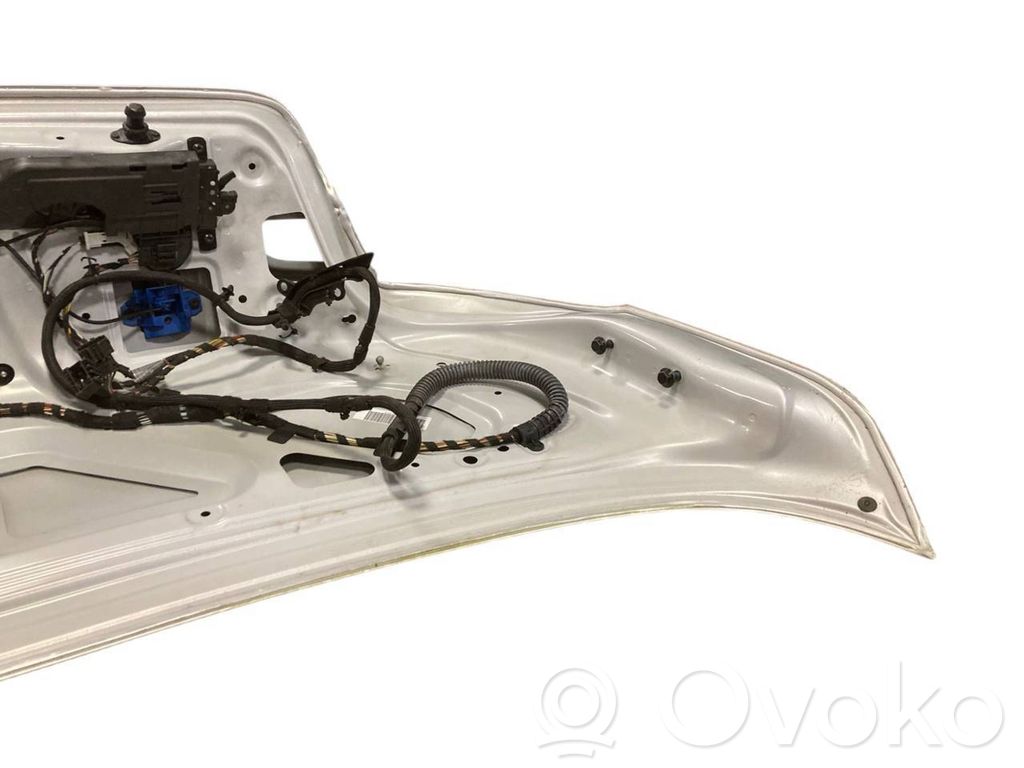 Aizmugurējais pārsegs (bagāžnieks)