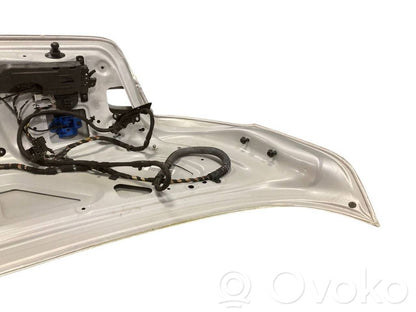 Aizmugurējais pārsegs (bagāžnieks)