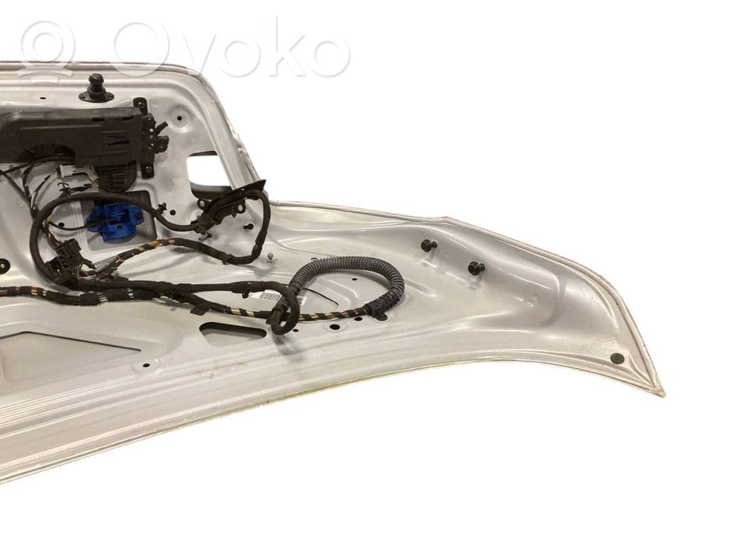 Aizmugurējais pārsegs (bagāžnieks)