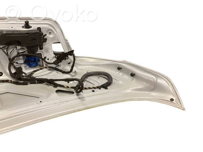 Aizmugurējais pārsegs (bagāžnieks)