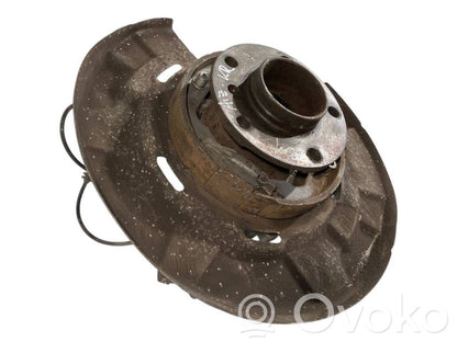 Rear wheel hub shaft joint (stupica, capfa)