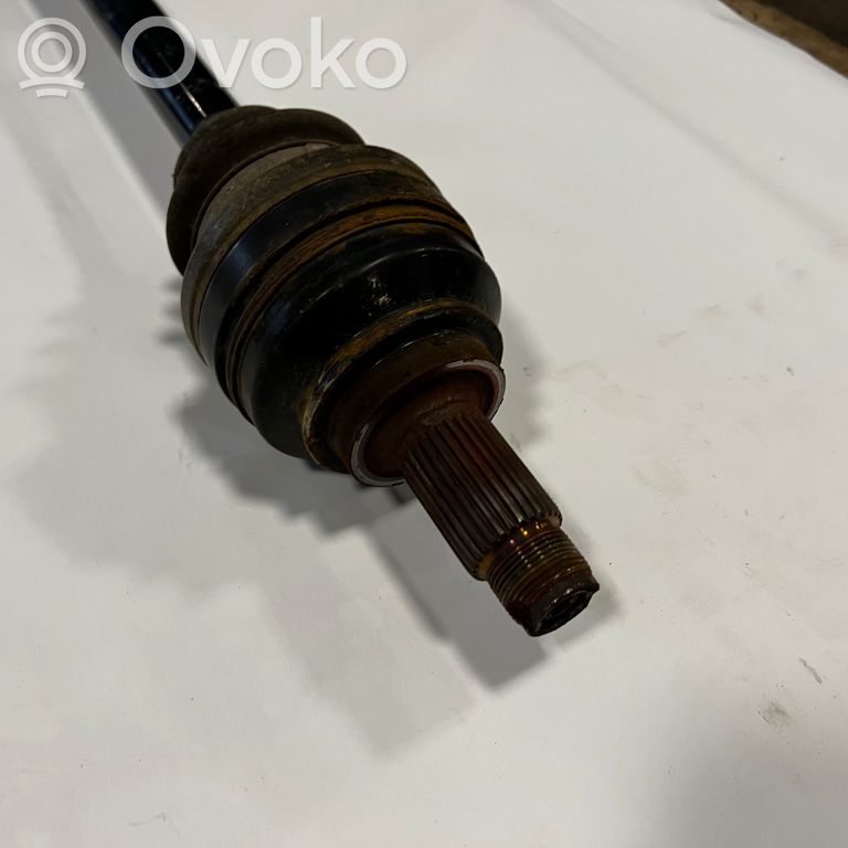 Aizmugurējā pusass