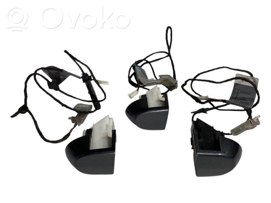 Priekšējo durvju roktura apgaismojums (ārpusē)