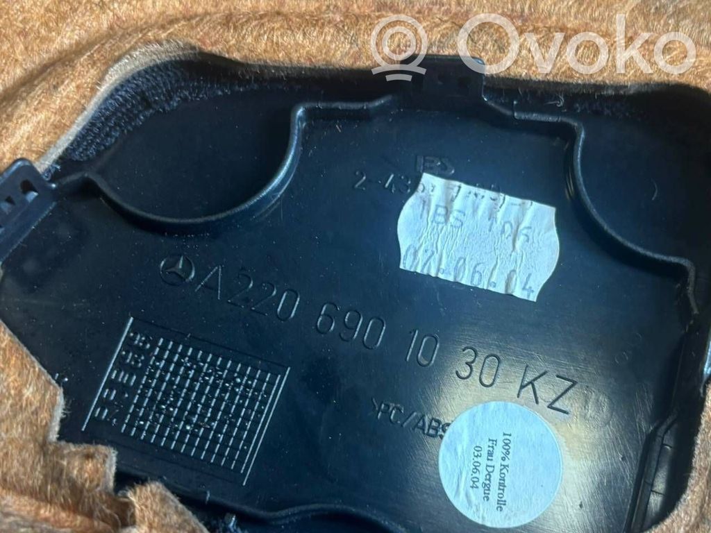 Aizmugurējā palodze