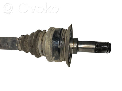 Aizmugurējā pusass