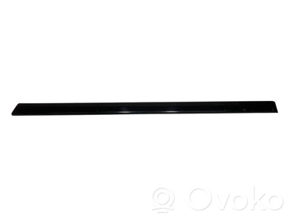 Aizmugurē durvju dekoratīvā apdare (moldings)