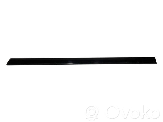 Aizmugurē durvju dekoratīvā apdare (moldings)