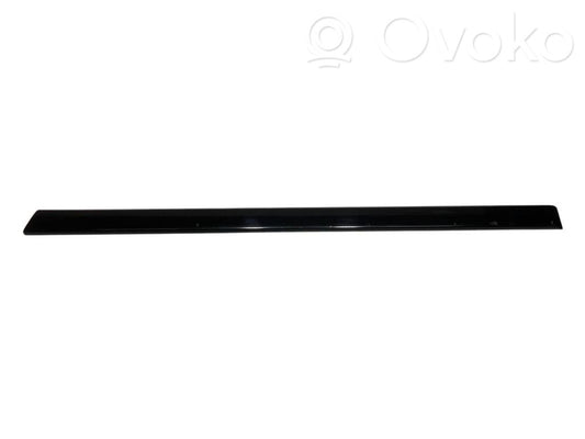 Aizmugurē durvju dekoratīvā apdare (moldings)