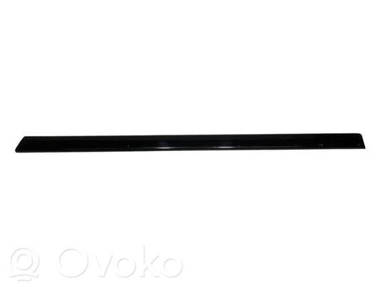 Rear door decorative trim (moulding)